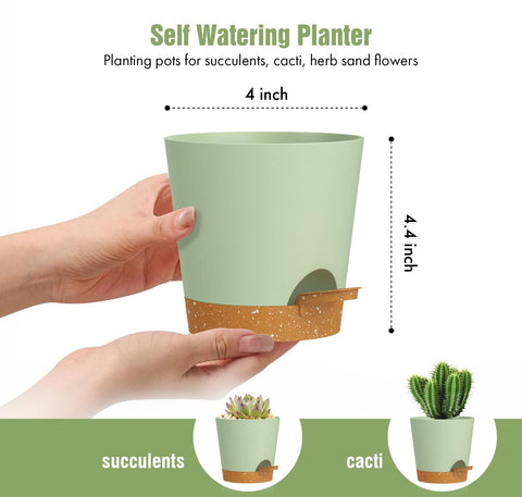 WSMKSZ 6 pack self watering pots arranged for cohesive indoor plant displays