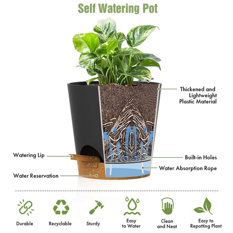 WSMKSZ 4-inch pot with succulents, compact desk-friendly display.