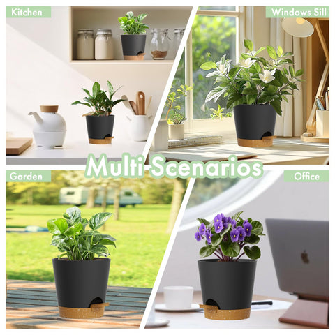 WSMKSZ 6-pack on a window sill, minimalist decor for small plants.
