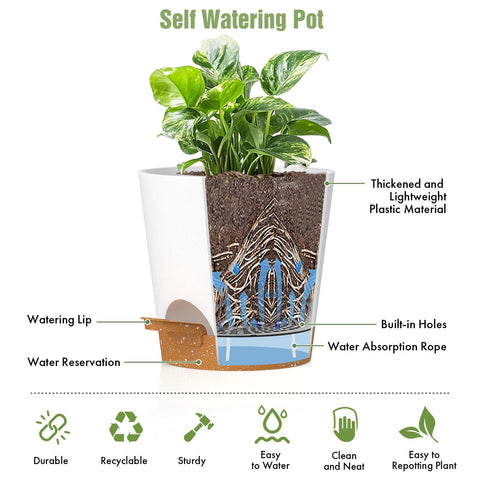 WSMKSZ 6-pack durable plastic planters for outdoor displays.