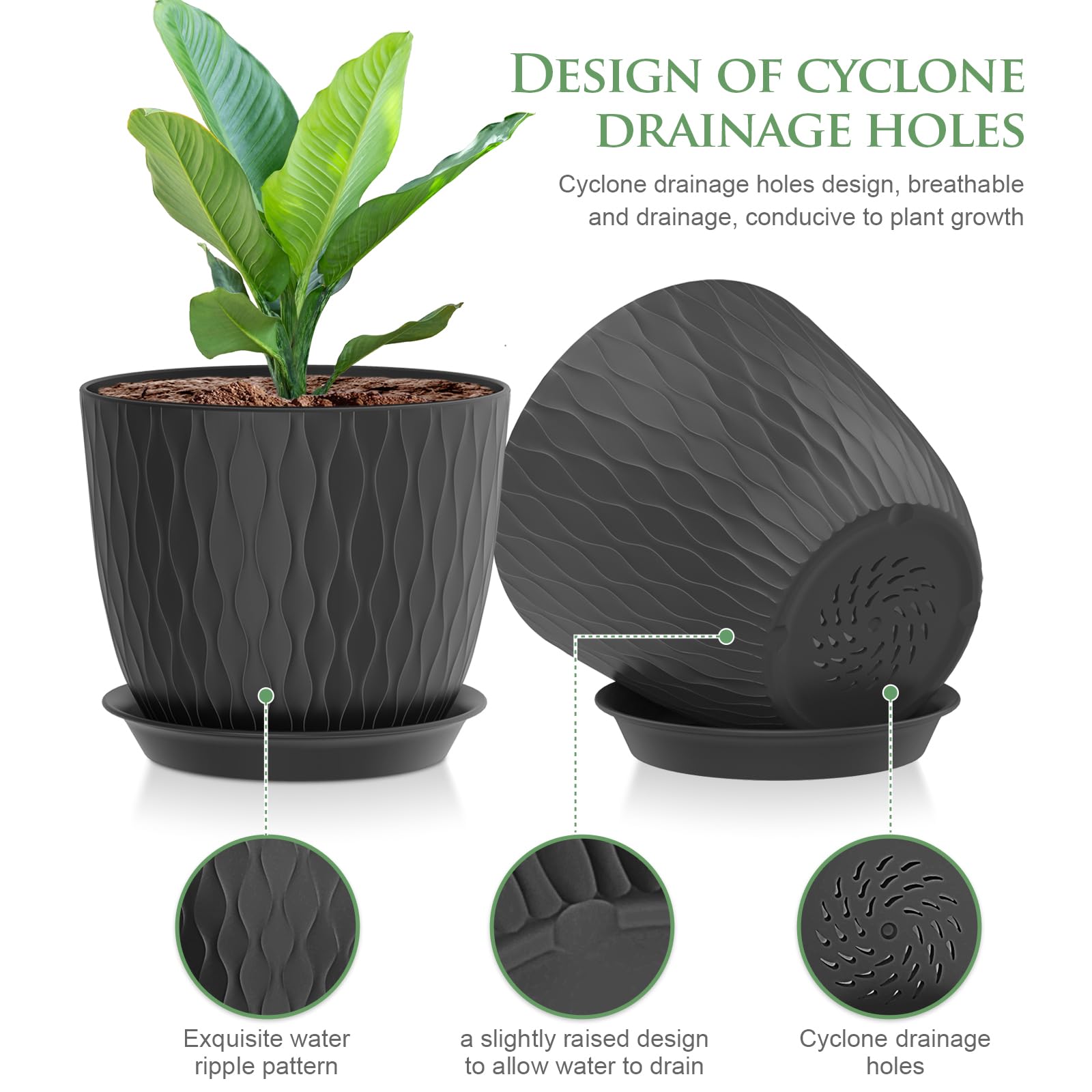 WSMKSZ ripple green pot suited for small herbs and succulents with drainage.