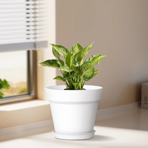WSMKSZ 8-pack small plant pots arranged on a tray for easy indoor gardening.