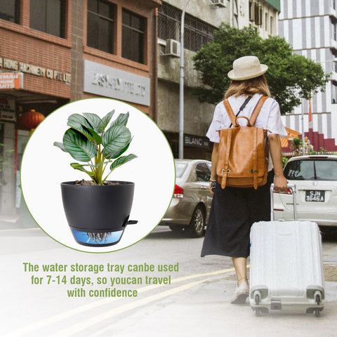 WSMKSZ black plastic planter duo complements home decor while maintaining steady moisture.