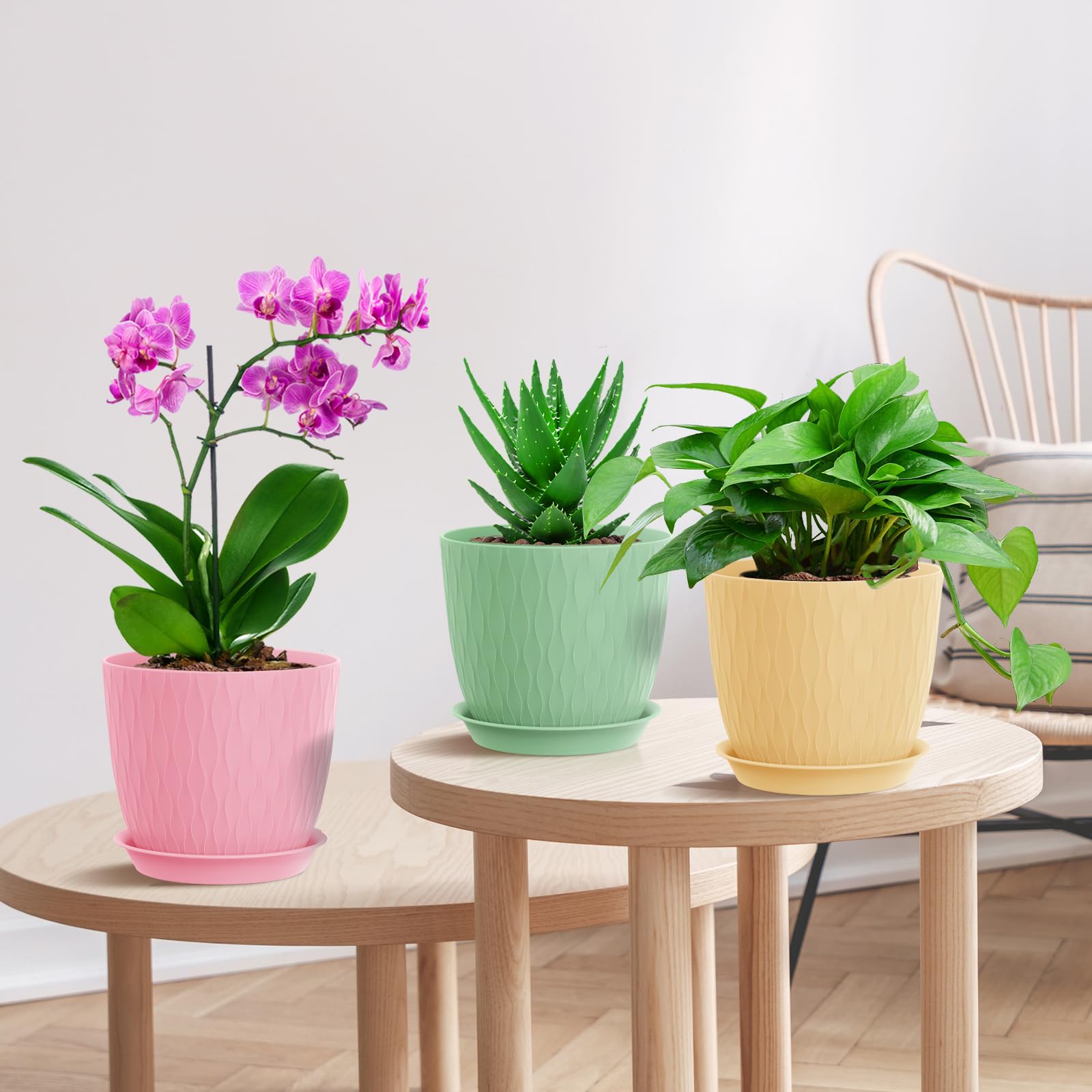 Bright color options brighten shelves balconies and windowsills