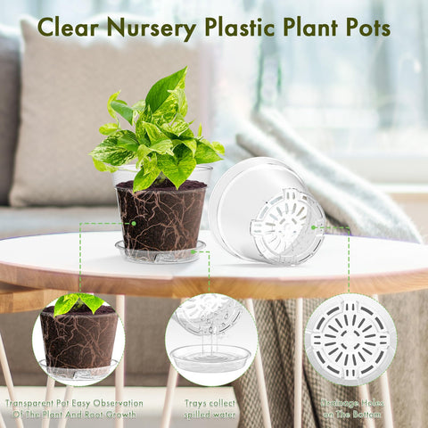 WSMKSZ clear plastic pots with drainage holes prevent overwatering in indoor seedlings.