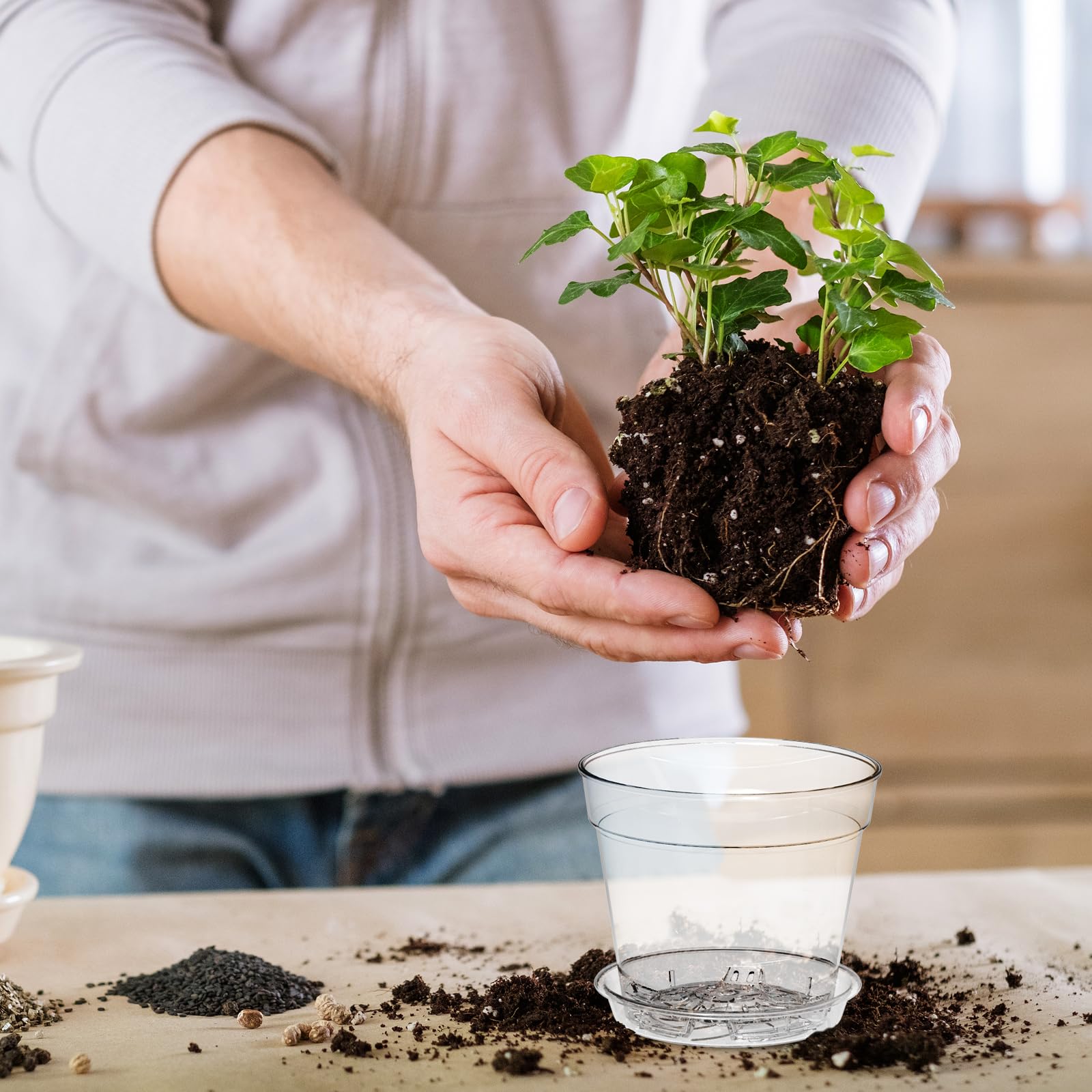 WSMKSZ transparent seedling pot for observing moisture and growth.