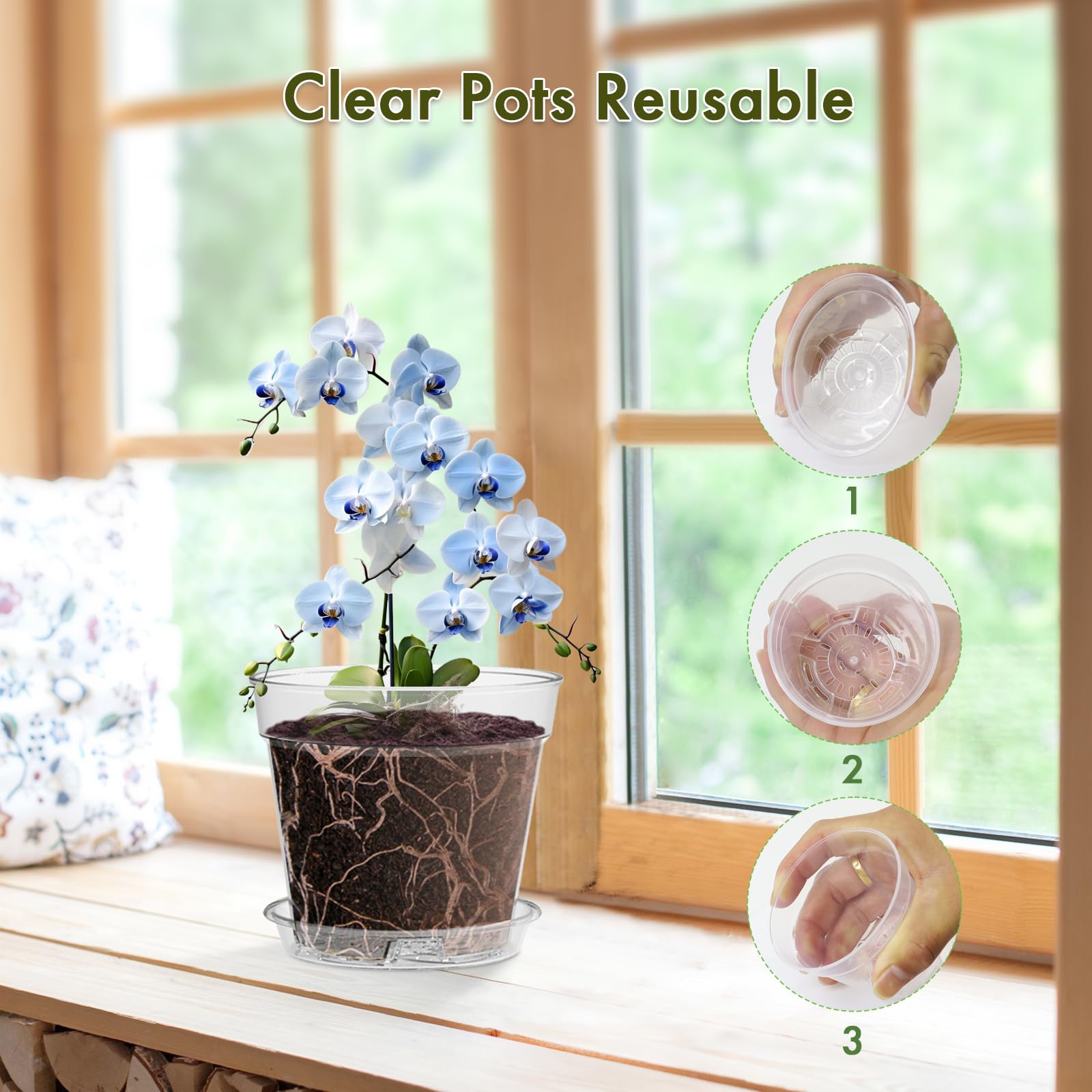 WSMKSZ transparent nursery pots versatile for indoor and outdoor use with multiple plant types.
