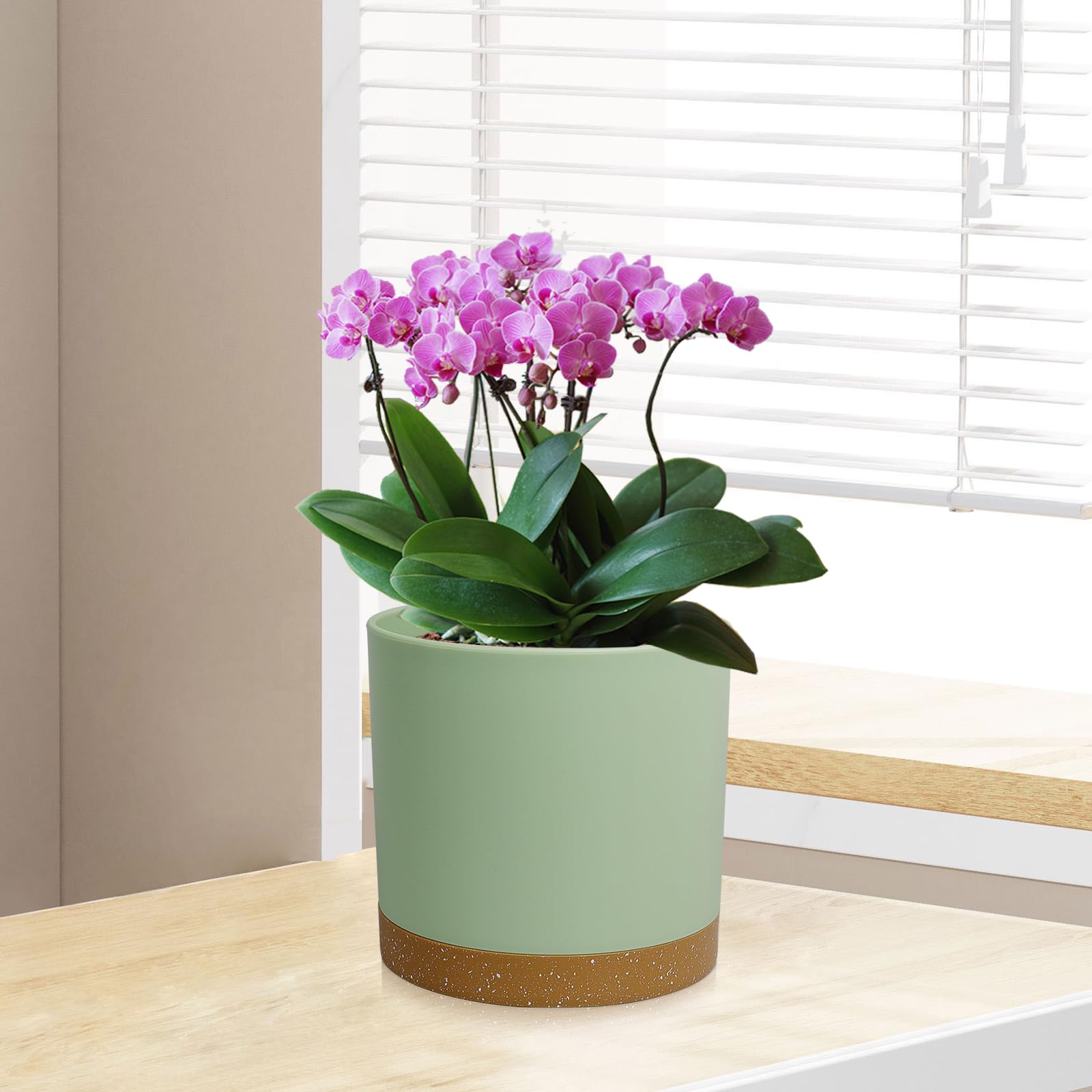 WSMKSZ pot with detachable tray preventing water mess