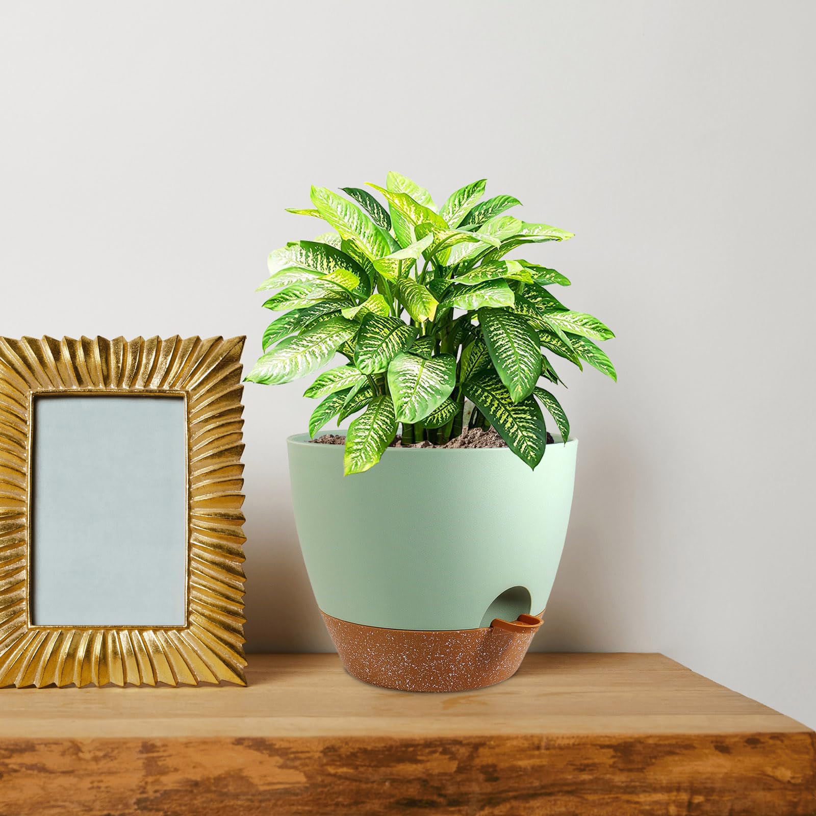 WSMKSZ self-watering pot ideal for balconies, patios and decks