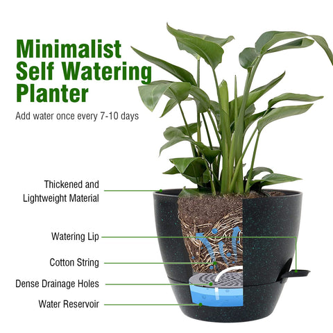 WSMKSZ deep reservoir planter supports long interval watering