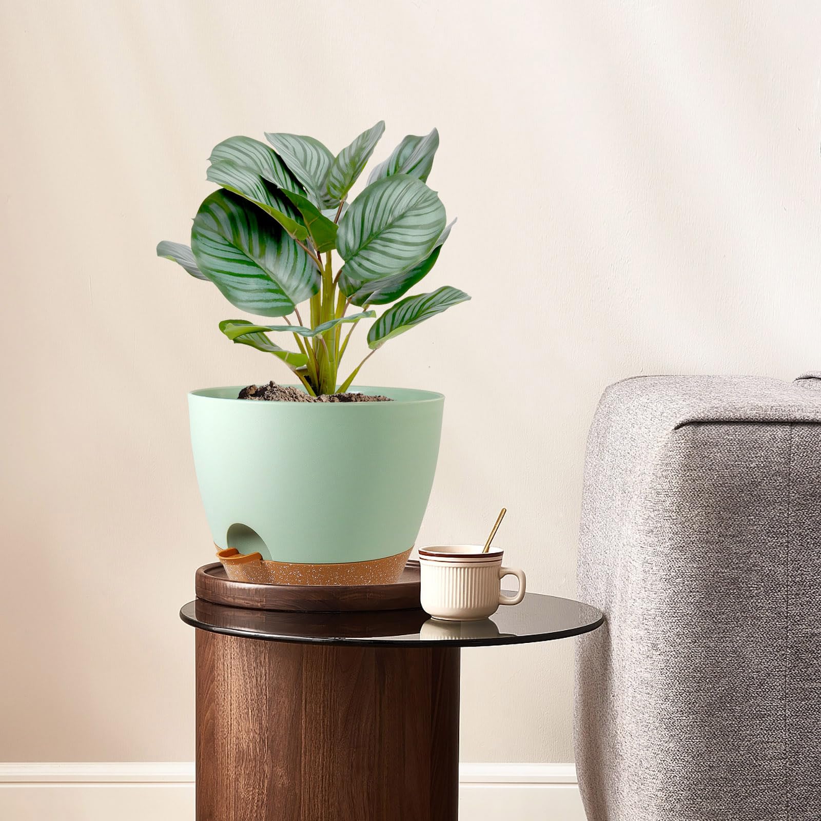 WSMKSZ deep reservoir self-watering planter for longer intervals between waterings