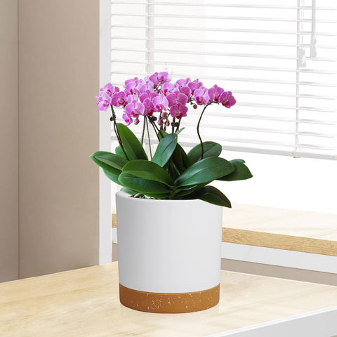 WSMKSZ detachable tray provides easy cleanup and spill containment.