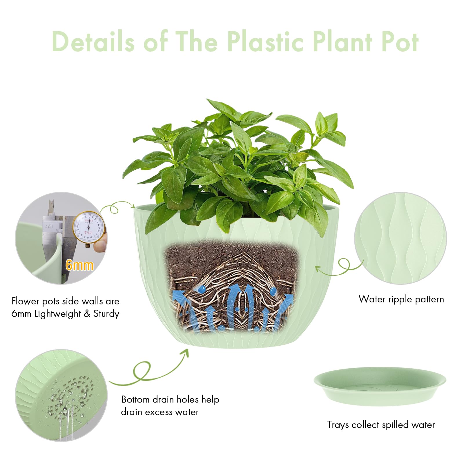 WSMKSZ drainage hole and saucer for clean, controlled watering