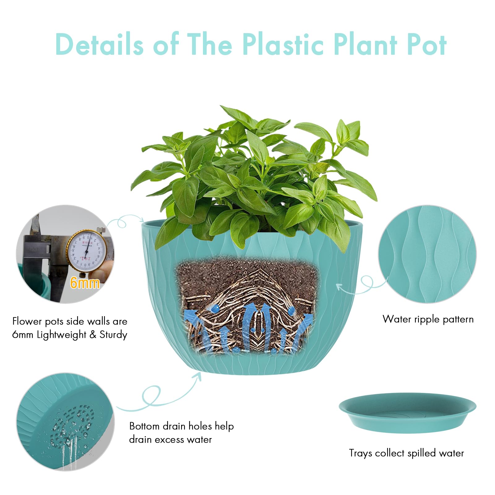 WSMKSZ drainage holes and saucer support healthy watering and mess-free use.