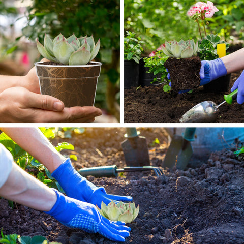 WSMKSZ drainable nursery pots with saucers keep your work area clean and dry.