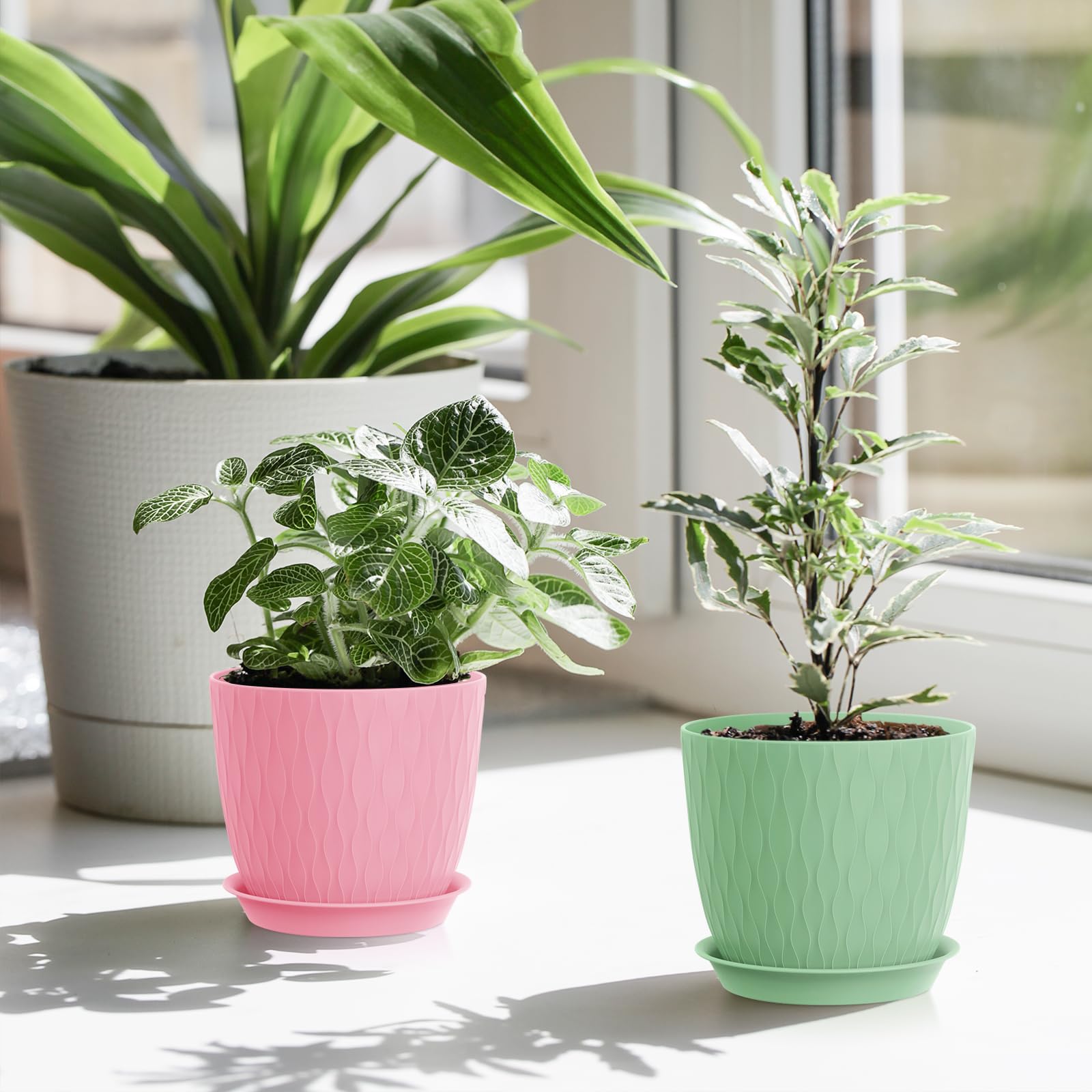 Gift idea for gardening lovers seeking practical colorful pots