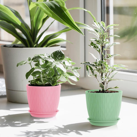 Gift idea for gardening lovers seeking practical colorful pots