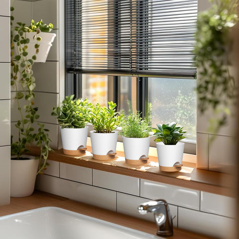 WSMKSZ planters make thoughtful gifts for plant lovers.
