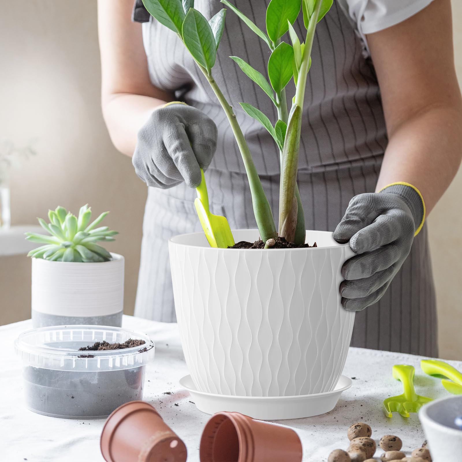 WSMKSZ indoor balcony pot on a sunny windowsill