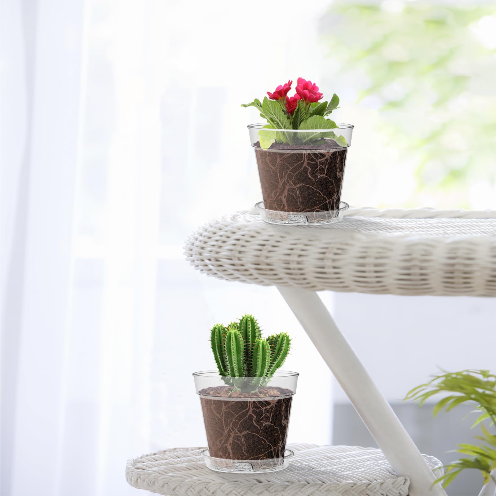 WSMKSZ indoor garden pots ideal for orchids, cacti, and succulents.