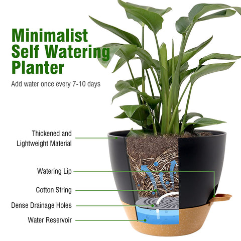 WSMKSZ indoor-outdoor plant pot display in modern setting.