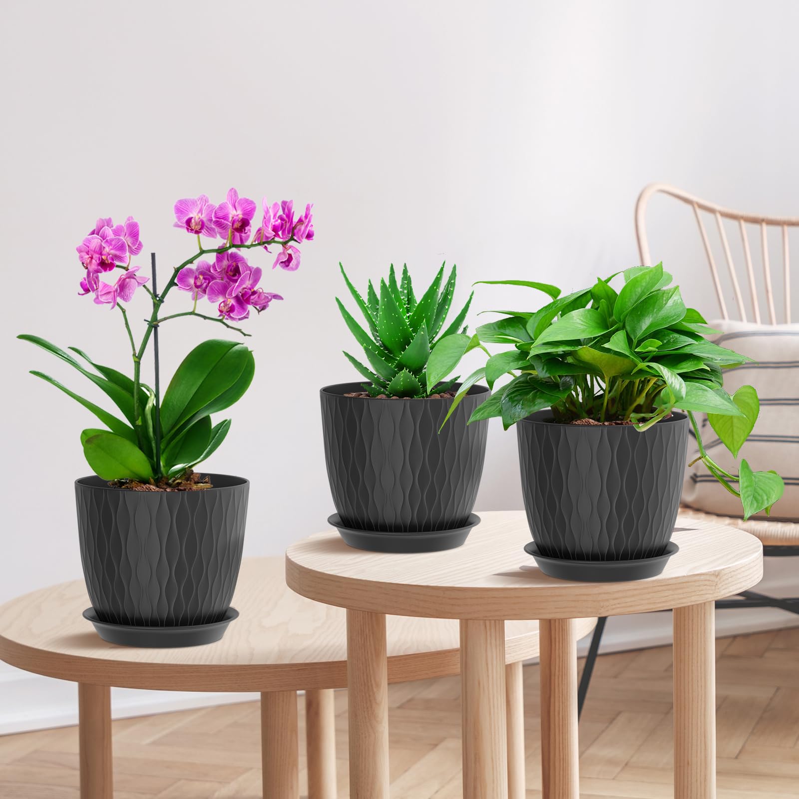 WSMKSZ indoor plant setup with a yellow ripple pot brightening the space.