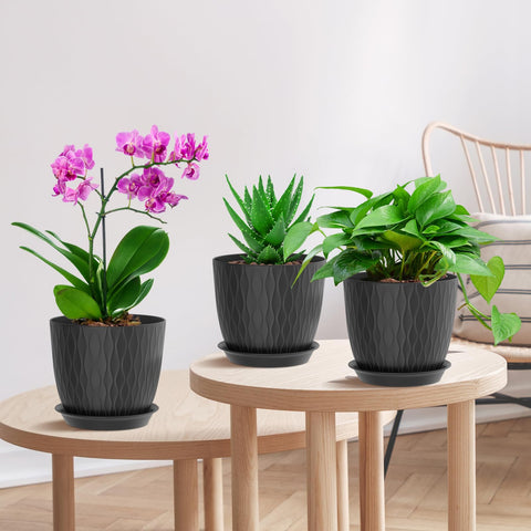 WSMKSZ indoor plant setup with a yellow ripple pot brightening the space.
