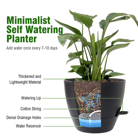 WSMKSZ self-watering planters ideal for indoors or outdoors on patios, decks, or window sills.