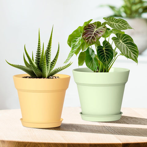 Lightweight and durable WSMKSZ pots are easy to move around.