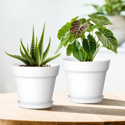 WSMKSZ lightweight durable plastic pot for long-term use.