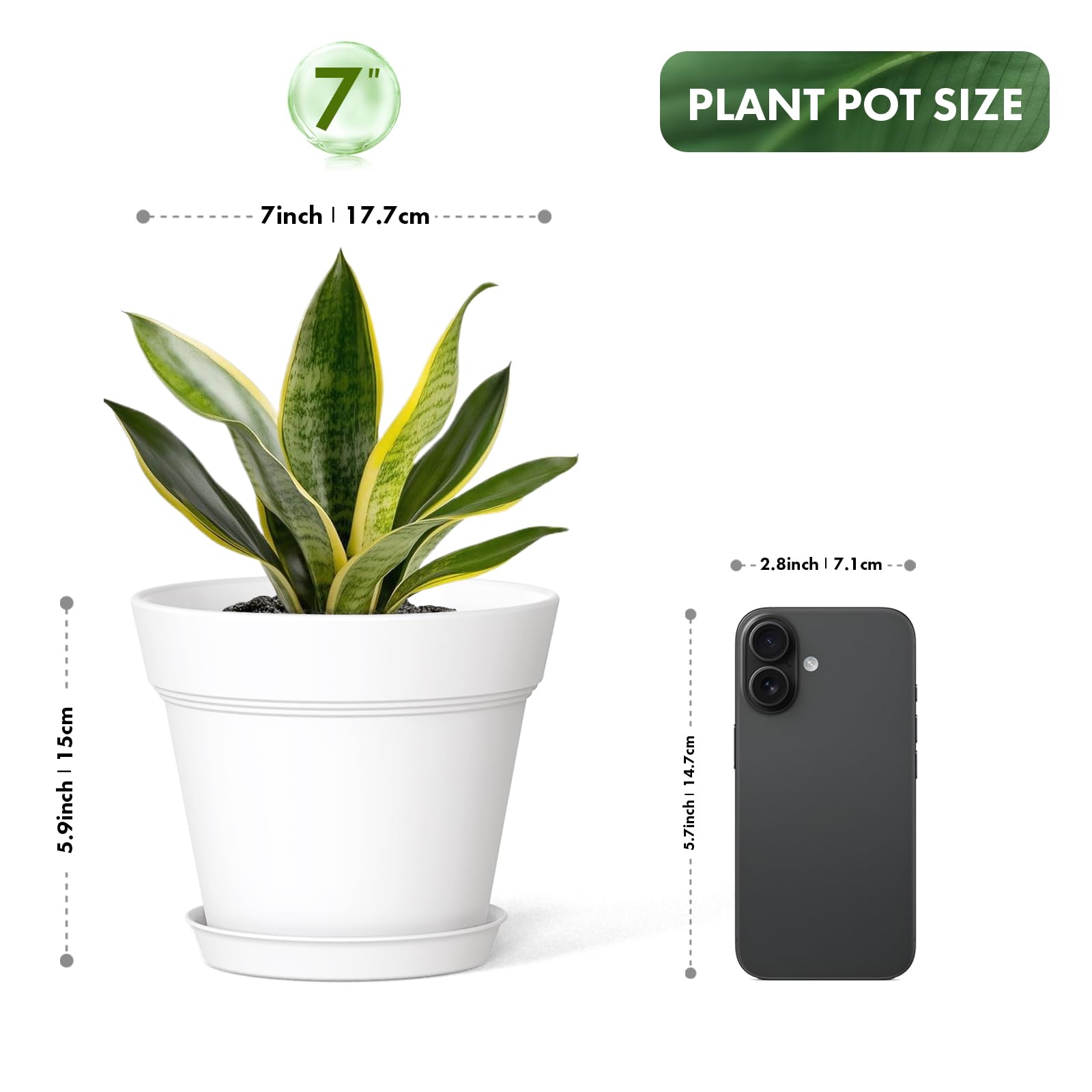 WSMKSZ matte finish pot ideal for indoor displays.