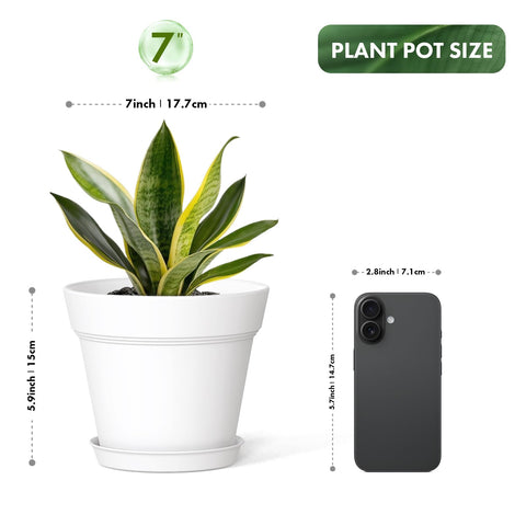 WSMKSZ matte finish pot ideal for indoor displays.