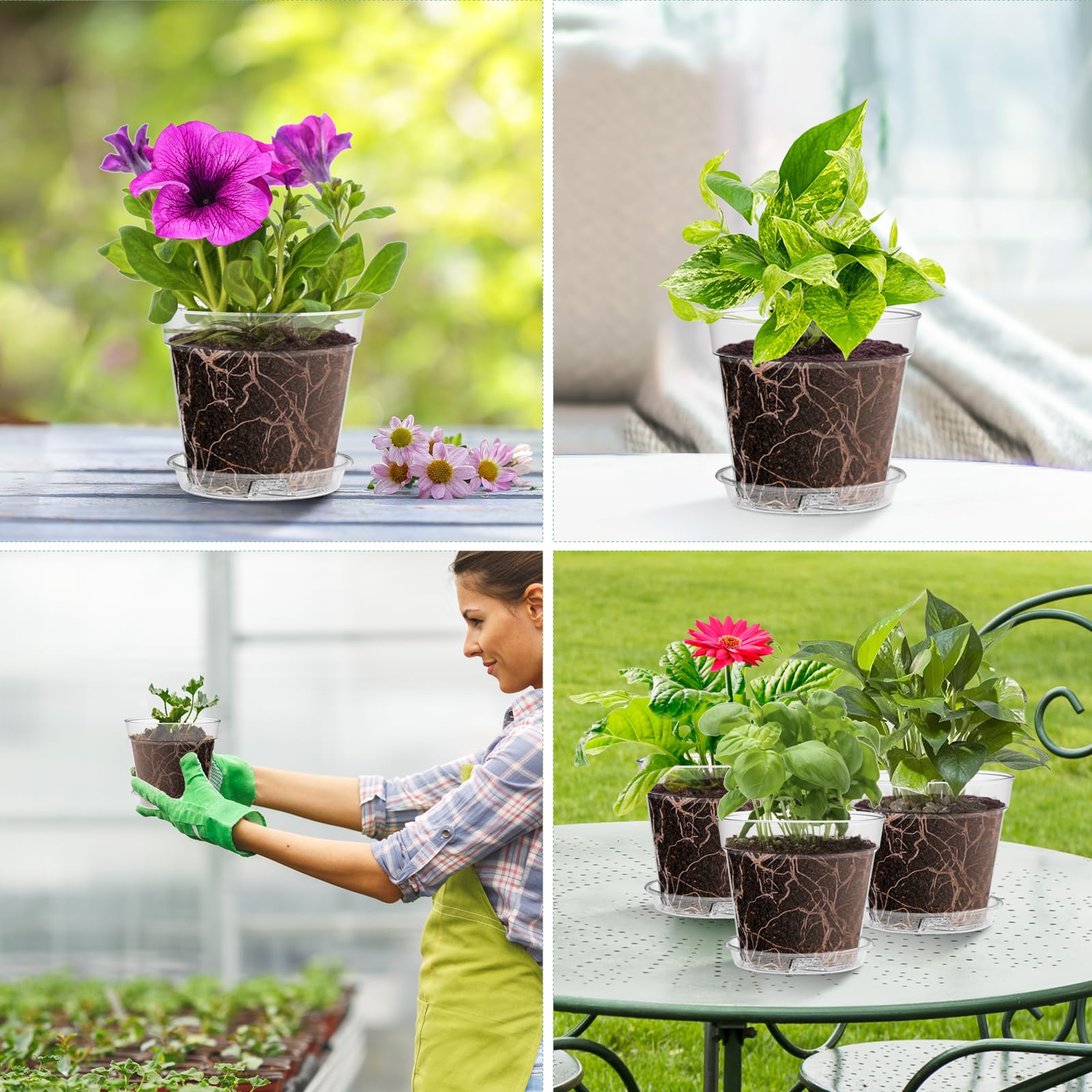 WSMKSZ reusable clear planters easy to remove seedlings without root damage.