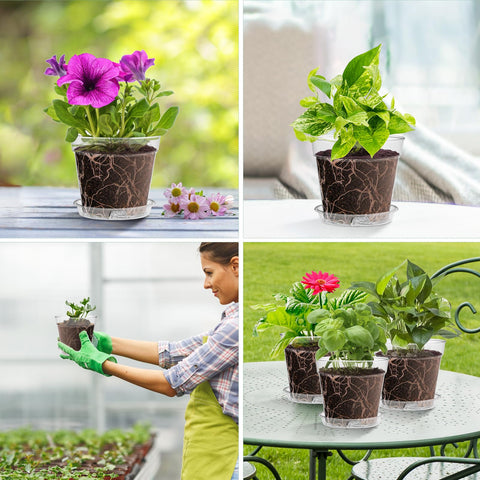 WSMKSZ reusable clear planters easy to remove seedlings without root damage.