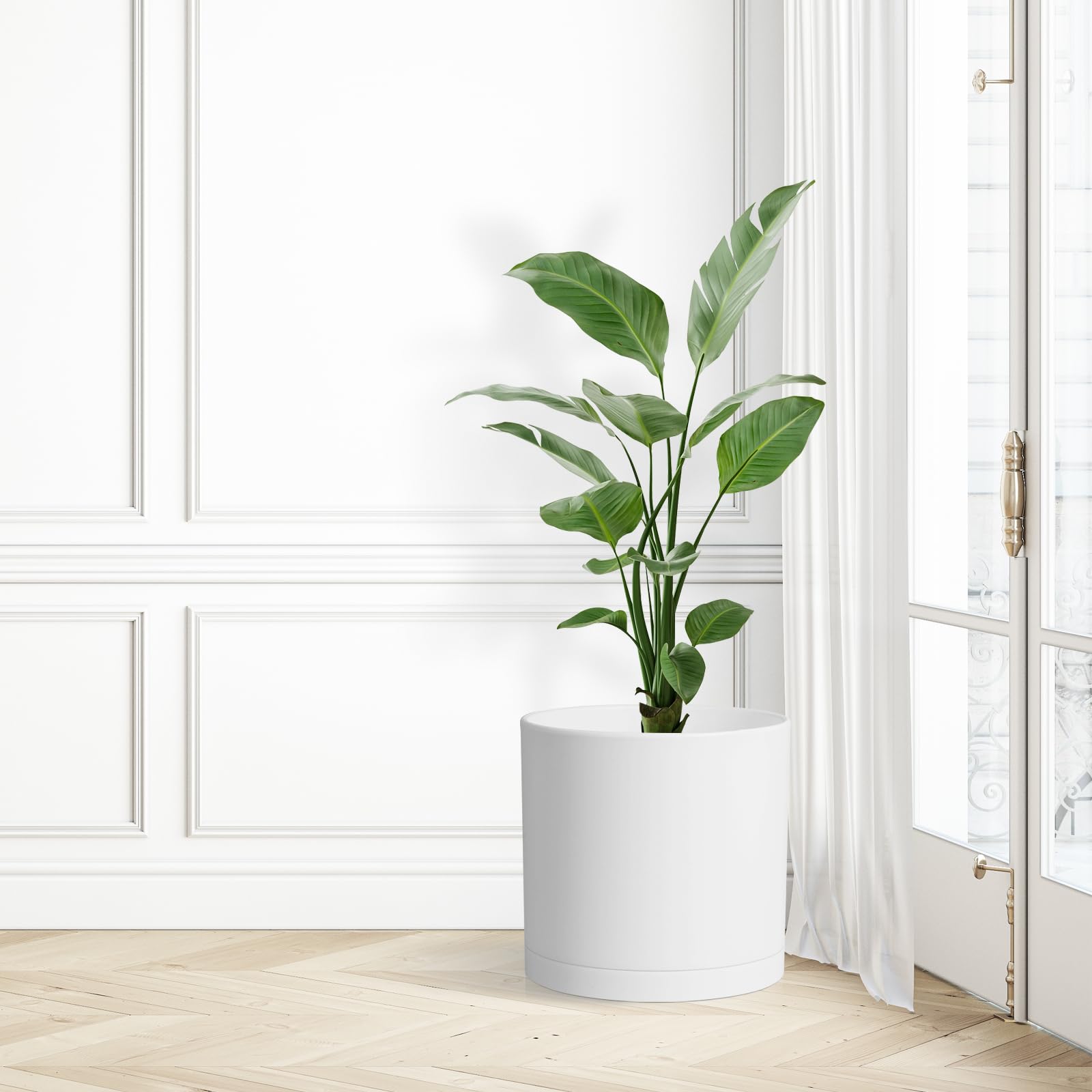 WSMKSZ ideal for orchids, succulents, and flowers on patios