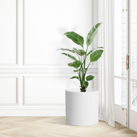 WSMKSZ ideal for orchids, succulents, and flowers on patios