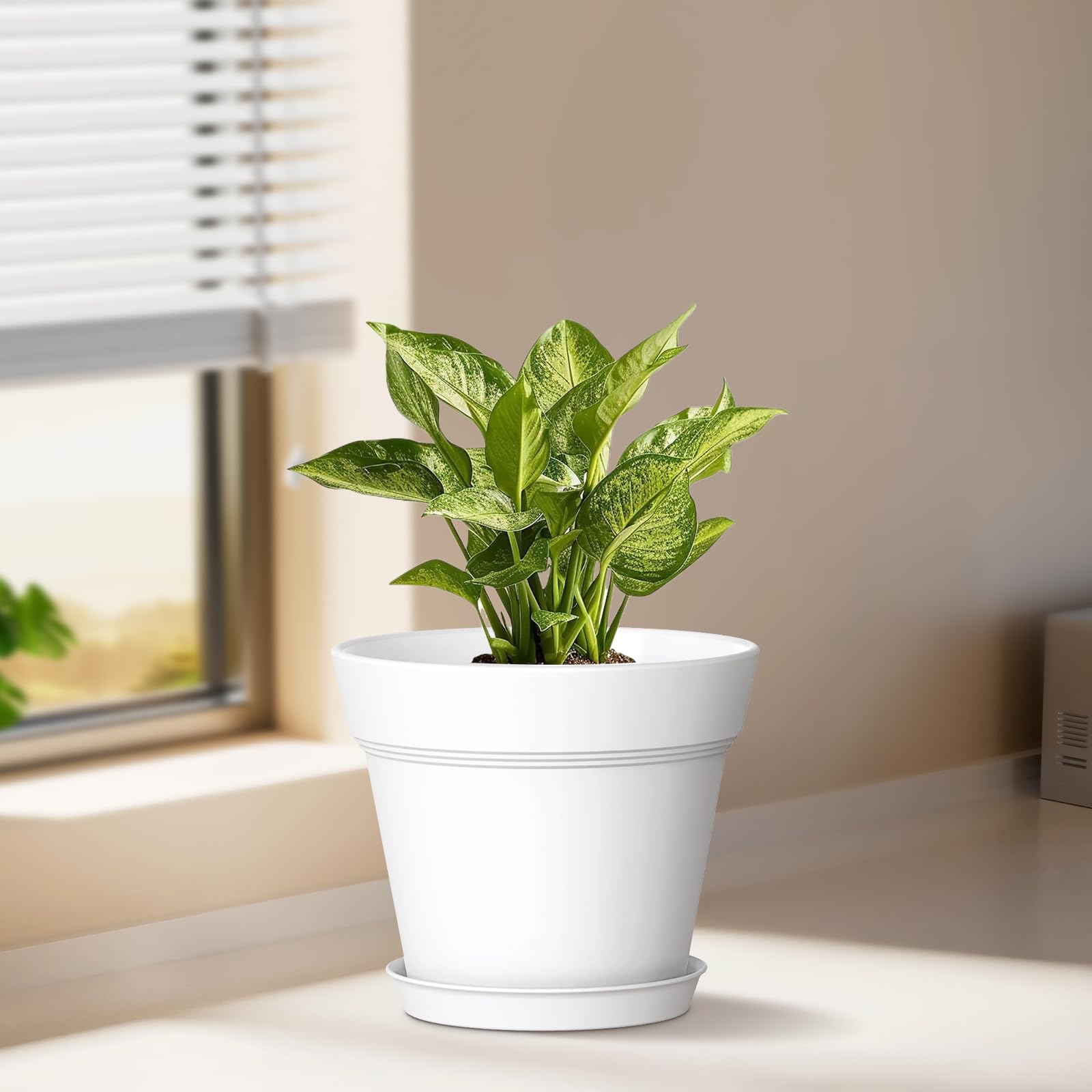 WSMKSZ pot with saucer ensures mess-free plant care.