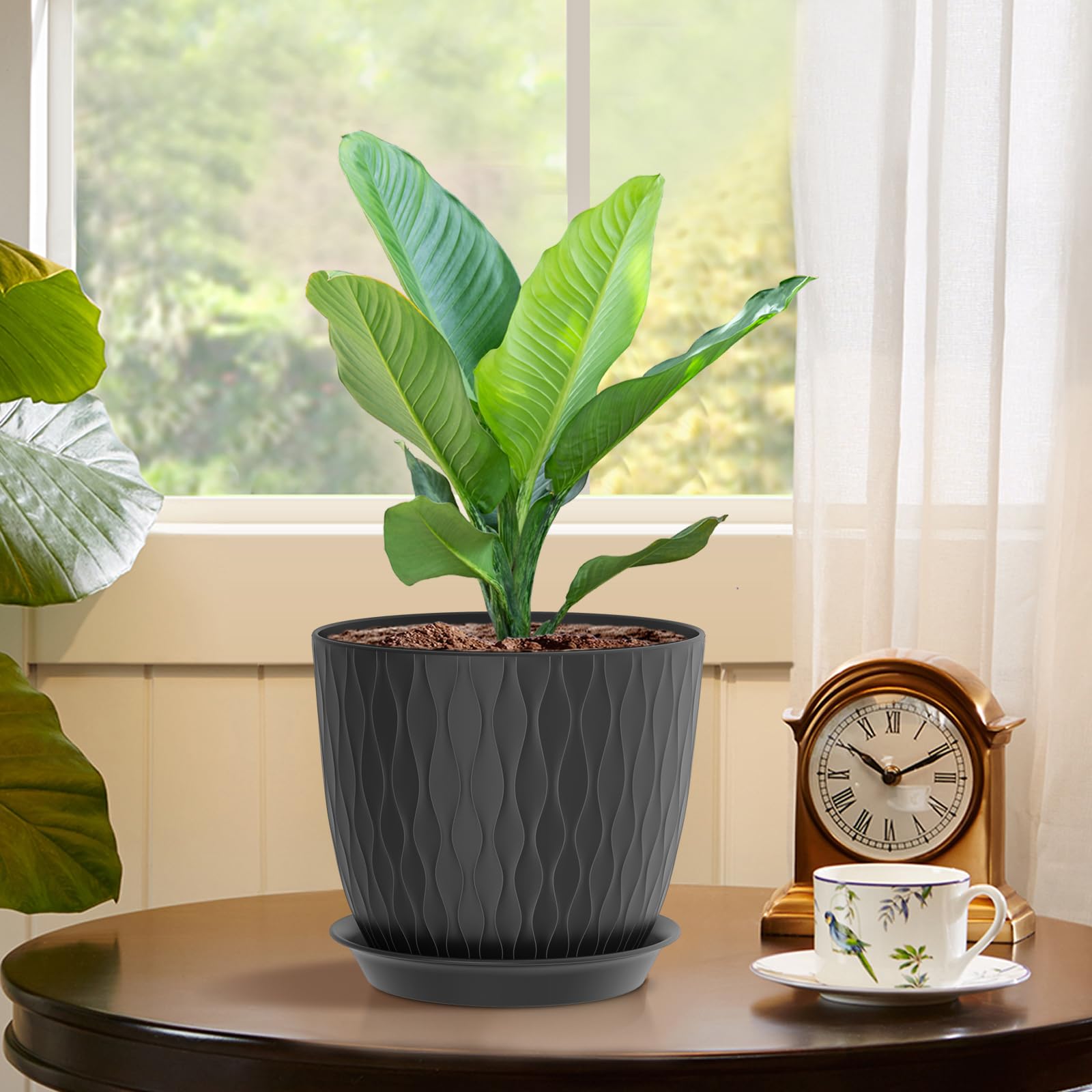WSMKSZ ripple pot with saucer keeps surfaces clean while displaying plants.