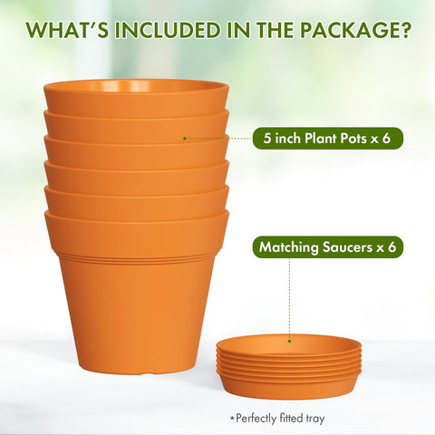WSMKSZ seedling starter pot with tray for organized propagation.
