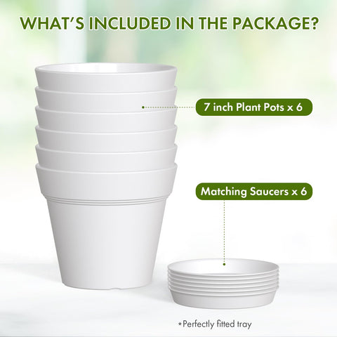 WSMKSZ seedling starter pot supports healthy transplanting.