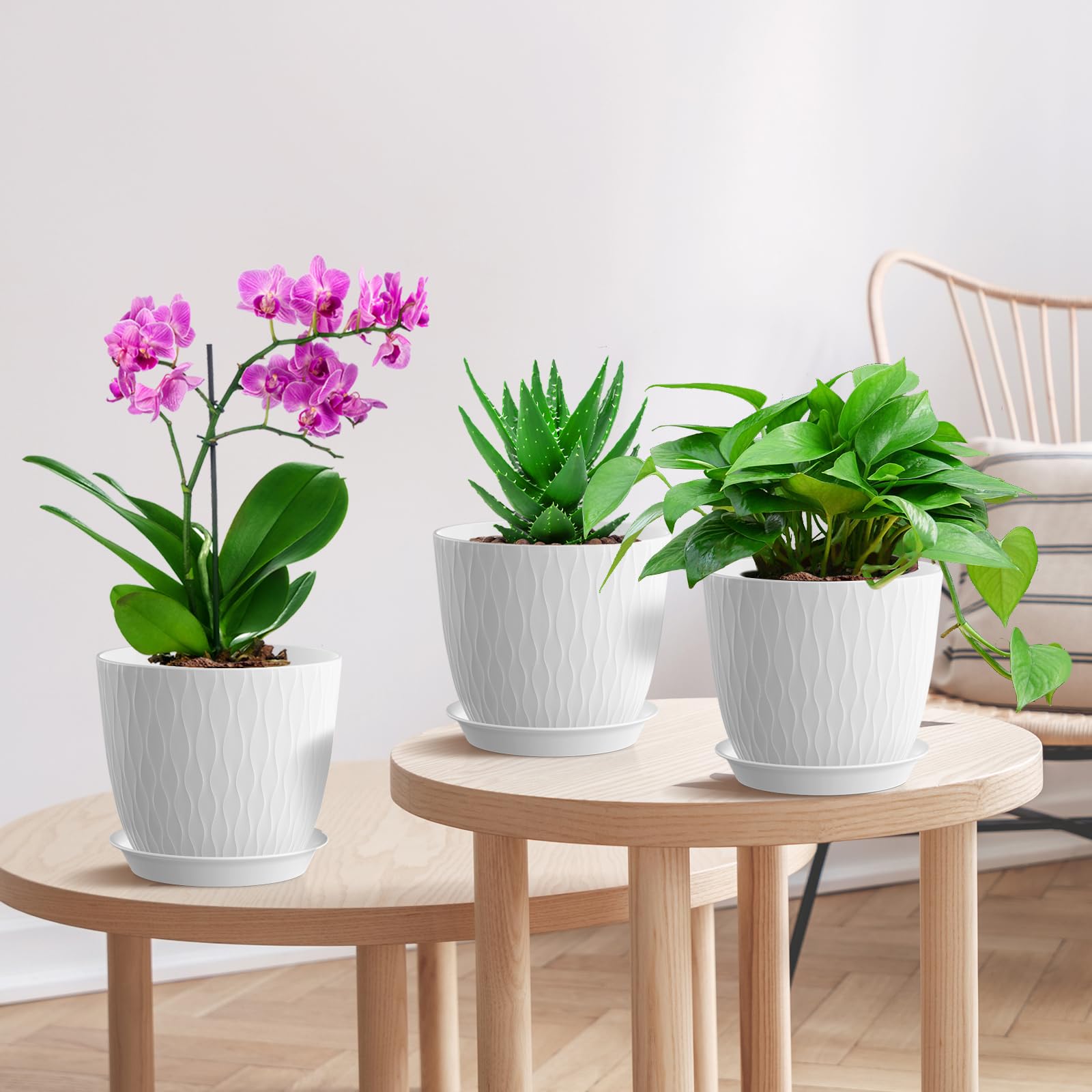 WSMKSZ succulent and herb pots fit small spaces