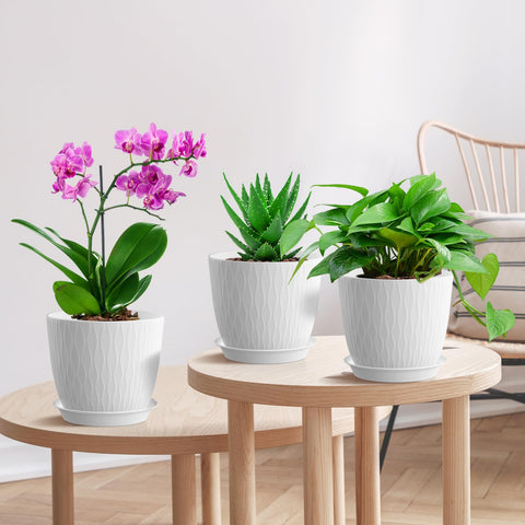 WSMKSZ succulent and herb pots fit small spaces