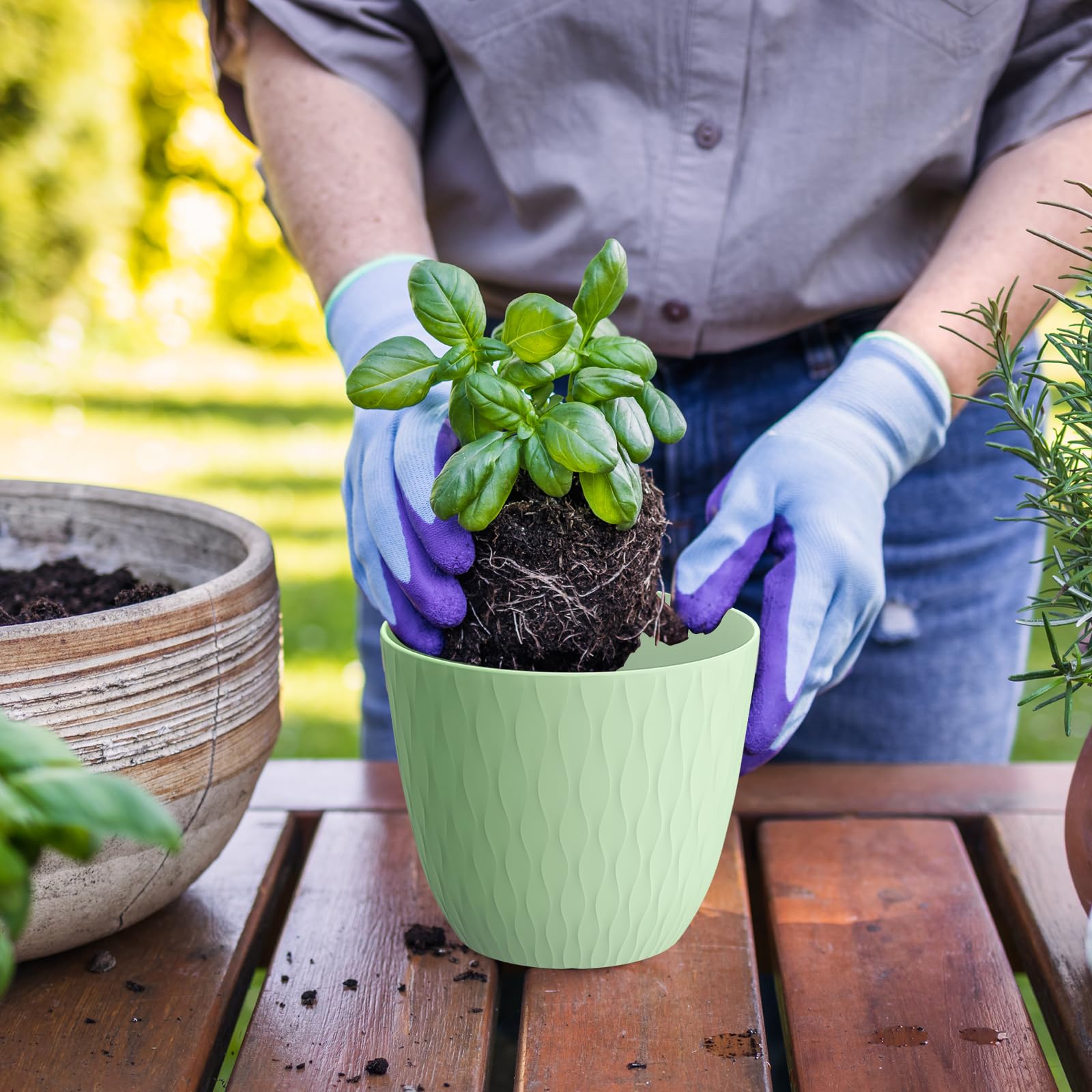 Perfect for succulents and small houseplants in WSMKSZ pots