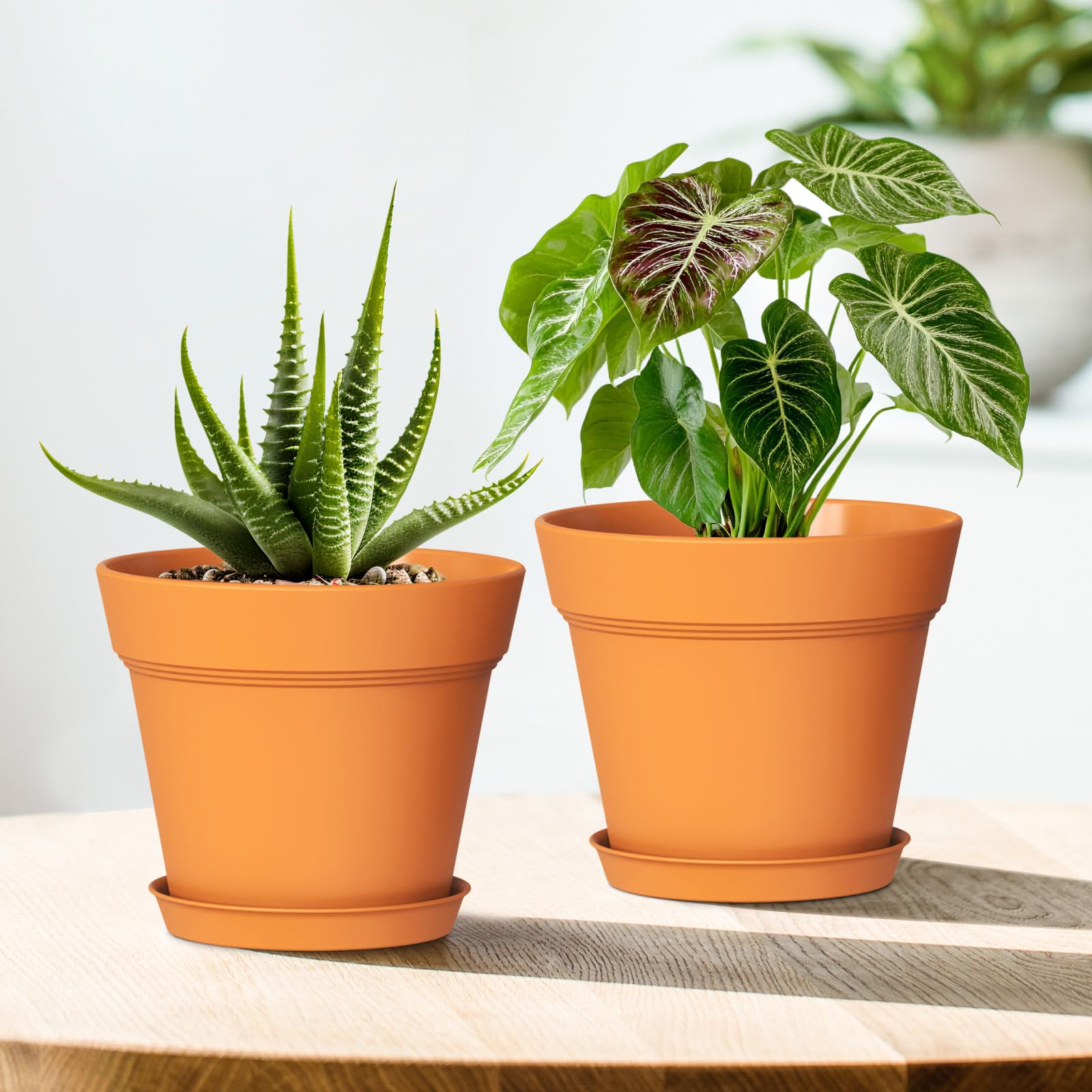 WSMKSZ plastic pot with terracotta-inspired finish adds warm decor to spaces.