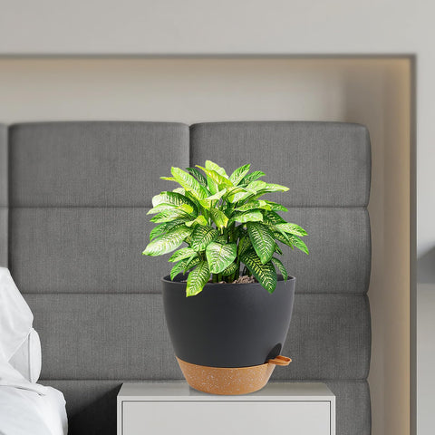 WSMKSZ ideal for balconies, decks, and window sills.
