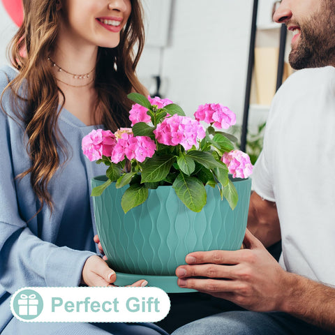 WSMKSZ spacious 12 inch diameter fits a variety of small to medium plants.
