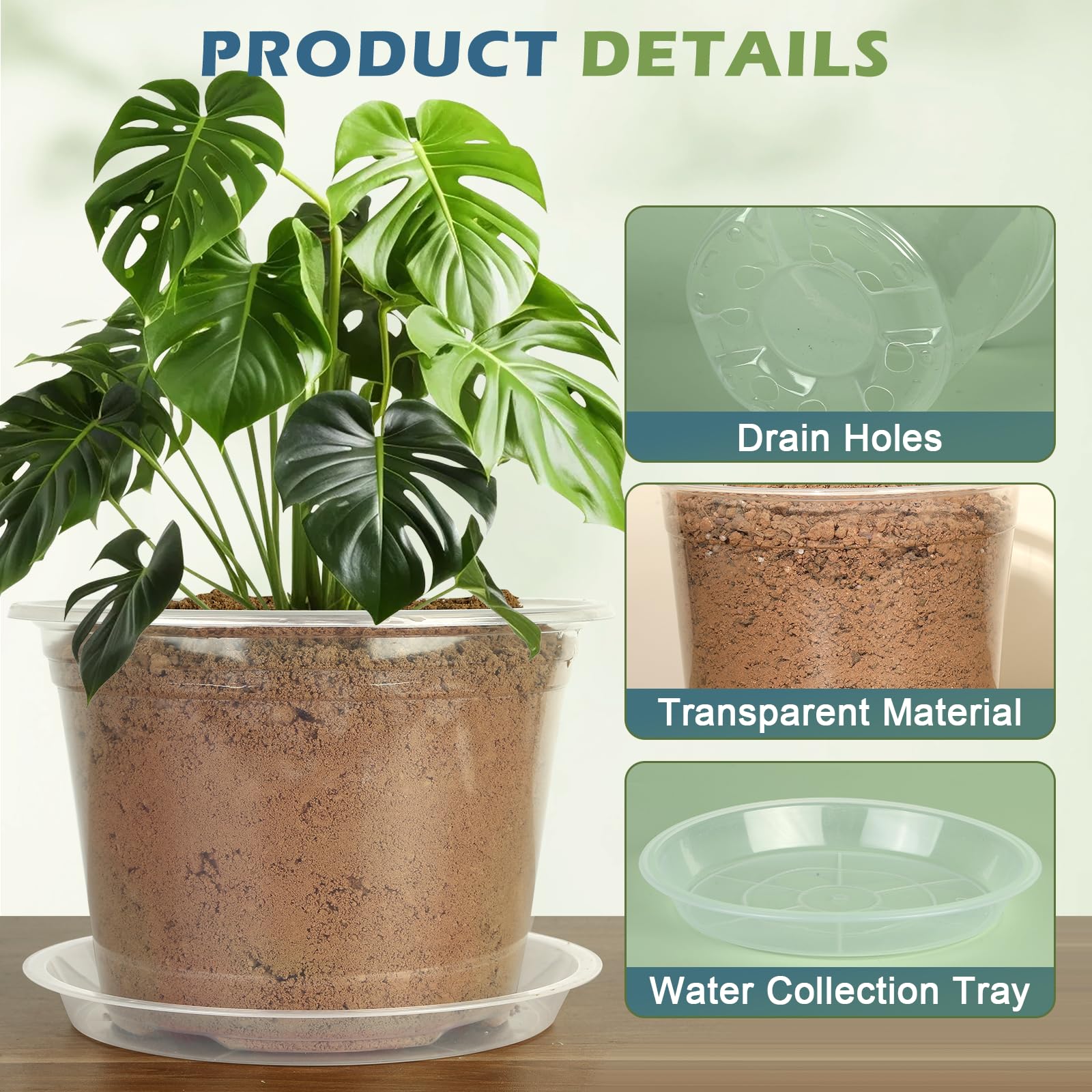 WTXHOP 10-inch clear nursery pot ready for larger transplants
