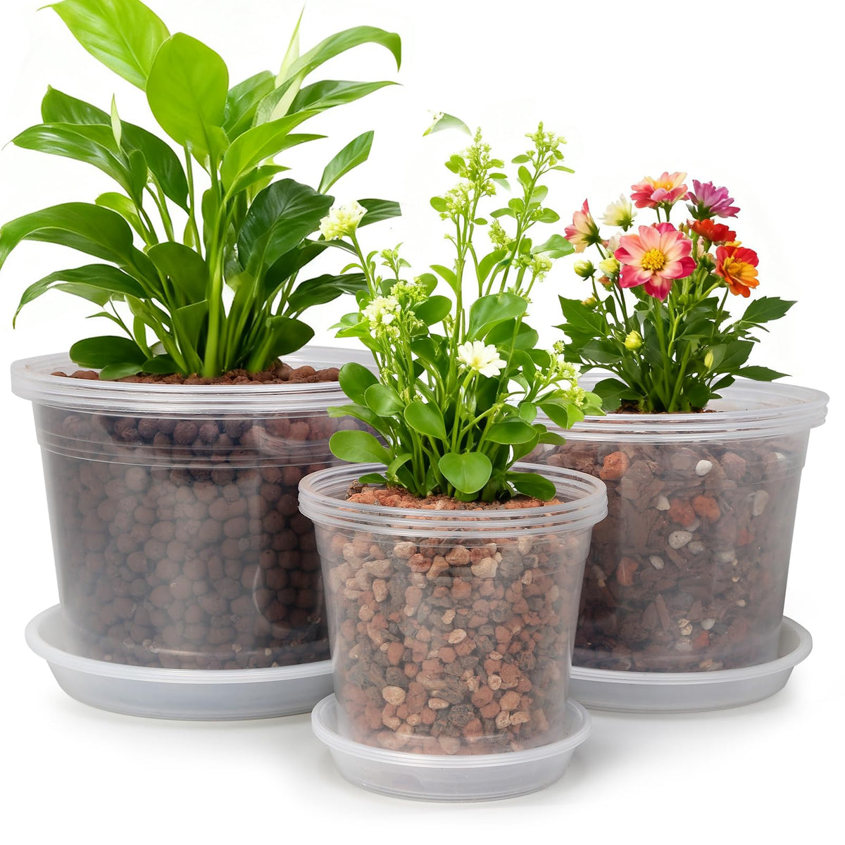 WTXHOP 6-inch clear nursery pot with drainage holes for seedlings