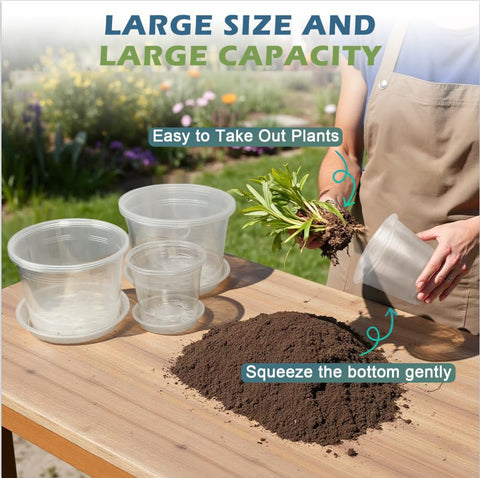 WTXHOP 8-inch clear nursery pot with saucer for tidy watering control