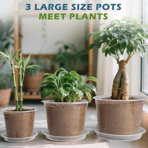 WTXHOP transplant-ready plastic pot simplifies seedling relocation